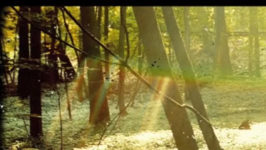 Childish Gambino - Hold You Down