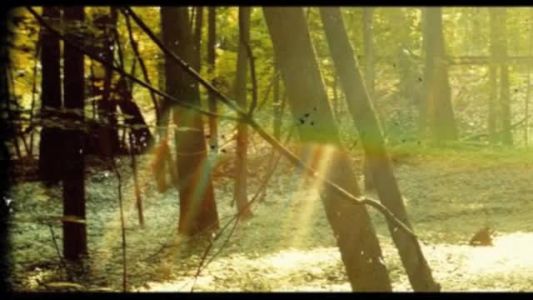 Childish Gambino - That Power