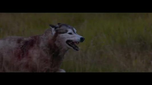 David Guetta - She Wolf