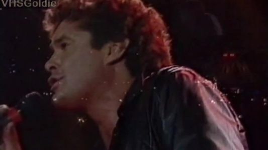 David Hasselhoff - Flying on the Wings of Tenderness