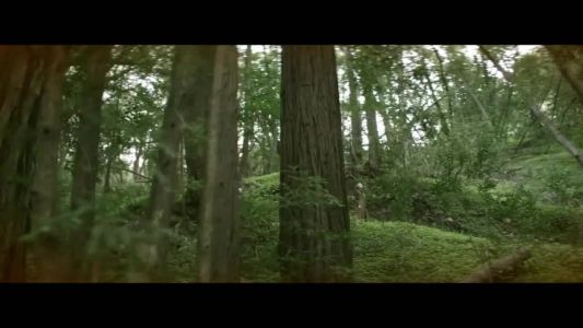 Empire of the Sun - Alive