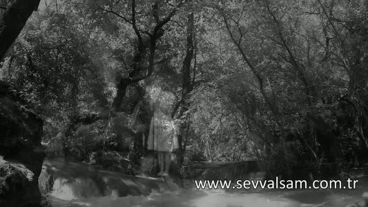 Şevval Sam - Hey Gidi Karadeniz