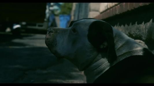 G Perico - All Blue