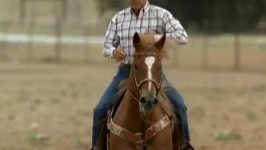 George Strait - Troubadour