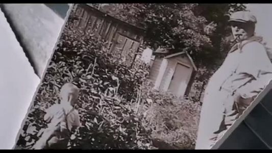 Jamey Johnson - In Color