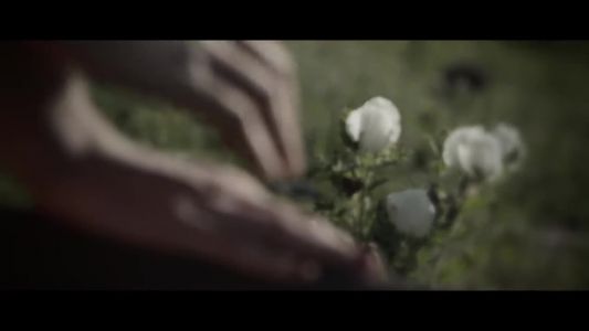 Jesse & Joy - Me quiero enamorar