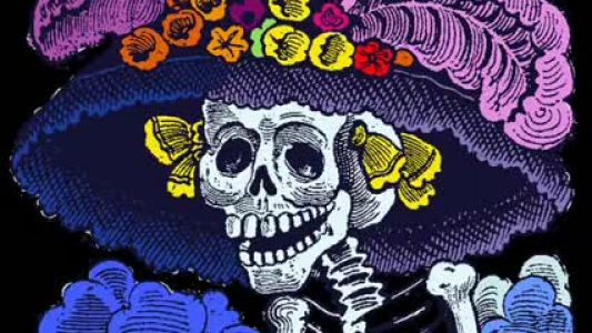 Lila Downs - La Bruja