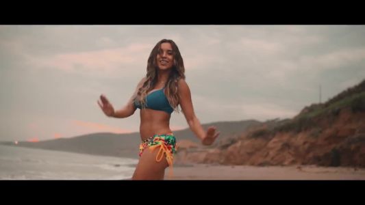 Luis Fonsi - Party Animal