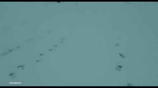 MATRANG - Отчаянно зовёт