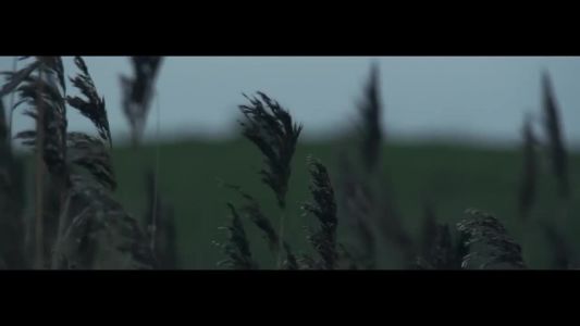 Medina - Skyttegrav
