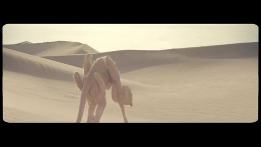 MGMT - Congratulations