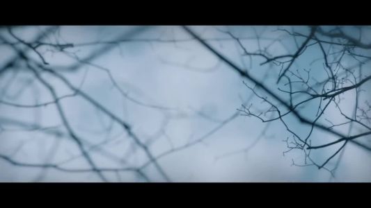 Miranda Lambert - Over You