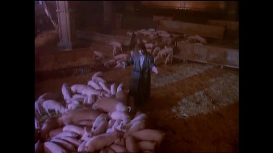 Ozzy Osbourne - Miracle Man