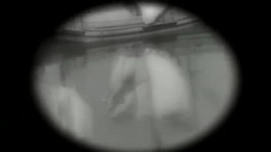 Public Enemy - Can’t Truss It