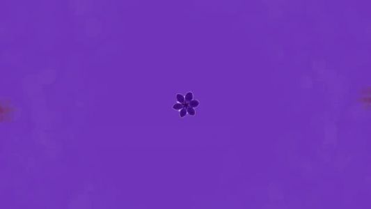 Purple Disco Machine - Wanna Feel Like A Lover (Poolside Remix)