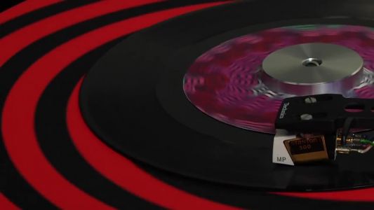 Red Hot Chili Peppers - Never Is a Long Time