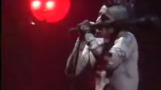 Red Hot Chili Peppers - Sir Psycho Sexy
