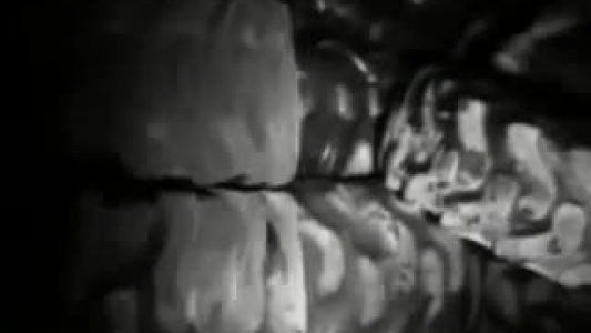 R.E.M. - Strange Currencies