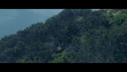 Rhye - Phoenix