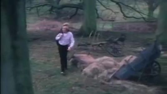 Robin Gibb - Juliet