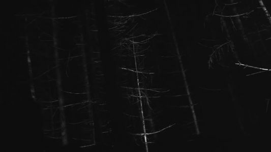 Röyksopp - Skulls