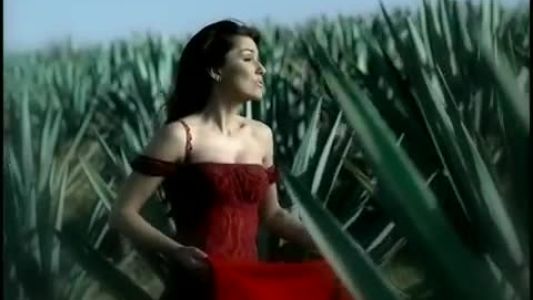 Shania Twain - Don’t!