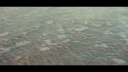 Sharif - Sobre los márgenes