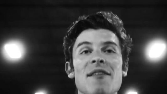 Shawn Mendes - If I Can't Have You