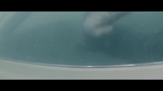 Shawn Mendes - Mercy