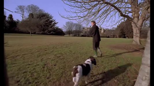 Sting - Shape of My Heart