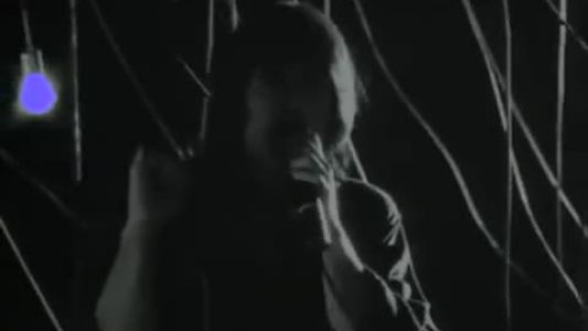 Survivor - High on You