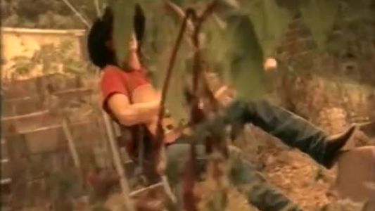 Terri Clark - When Boy Meets Girl