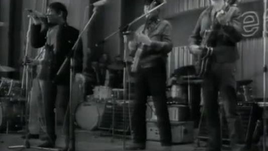 The Animals - See See Rider
