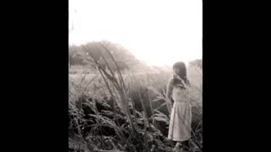 The Cardigans - Higher