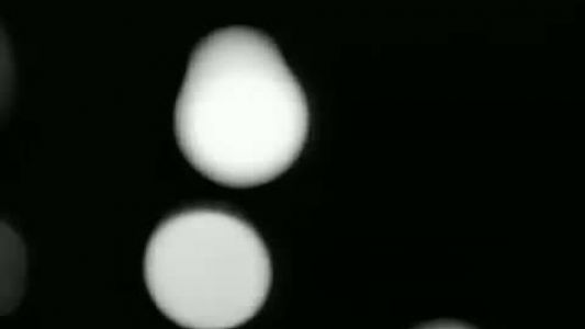 The Cranberries - Ode to My Family