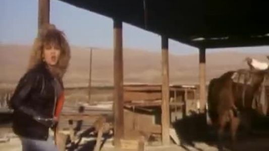 Tina Turner - What You Get Is What You See