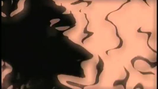 Toby Keith - Who's That Man