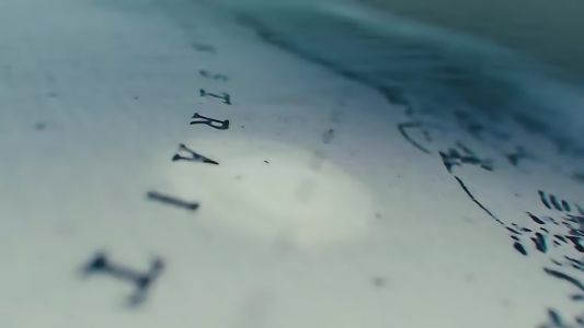 twenty one pilots - Overcompensate