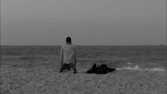 U2 - Cedars of Lebanon