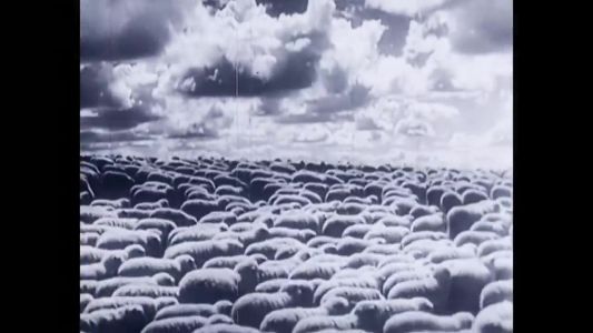U2 - In God’s Country