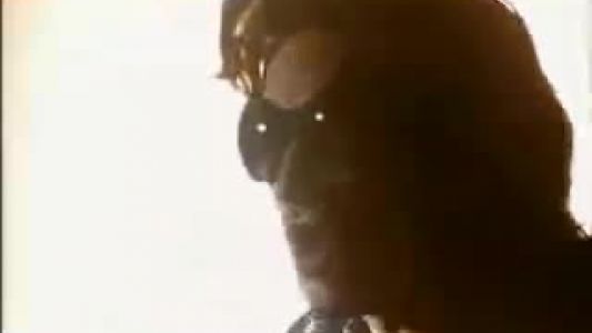 U2 - The Fly