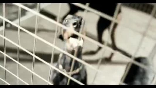 Westlife - World of Our Own