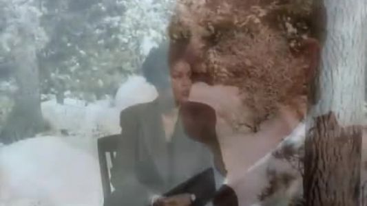 Whitney Houston - I Will Always Love You