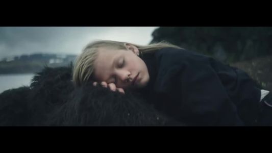Zara Larsson - Never Forget You