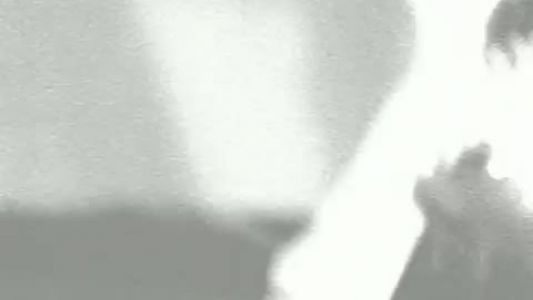 Zoé - Miel